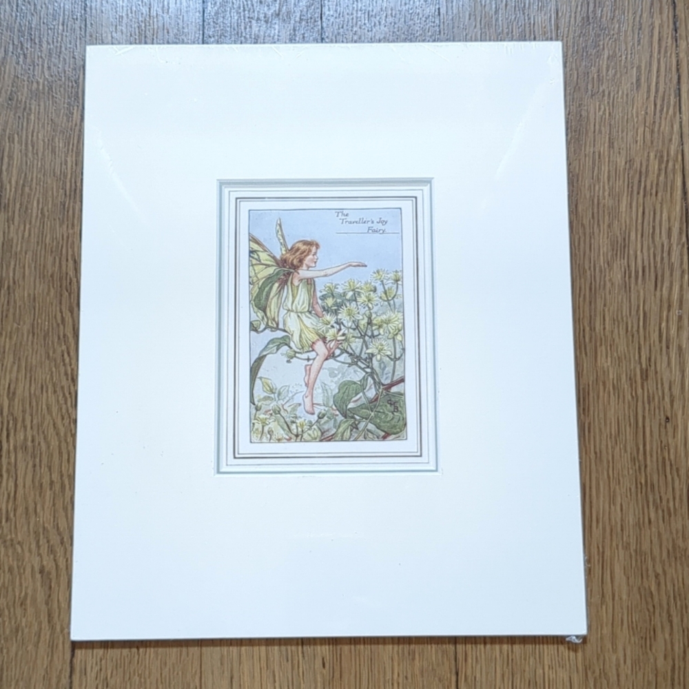 EUC Cicely Mary Barker The Traveller's Joy Flower Fairy VTG Illustrated Print